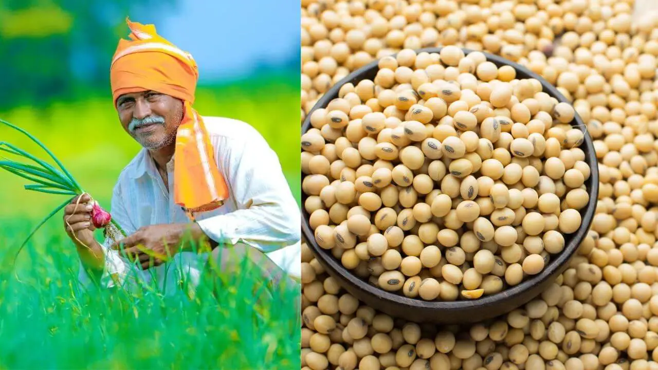You are currently viewing MSP पर सोयाबीन खरीदी 25 अक्टूबर से होगी शुरू, CM मोहन यादव X पर दी जानकारी