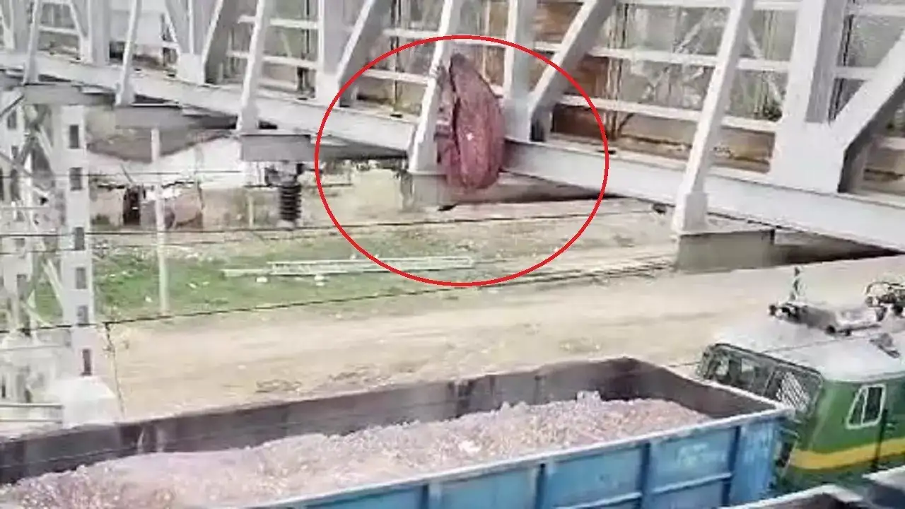 You are currently viewing सागर में दिल दहला देने वाला हादसा! महिला ने रेलवे ओवरब्रिज से चलती मालगाड़ी में लगाई छलांग, 35 किमी दूर मिला शव