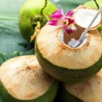 गर्मी में लू, थकान और डीहाइड्रेशन से बचाएगा नारियल! जानिए इसके चमत्कारी फायदे