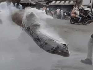 Read more about the article रतलाम में स्वतंत्रता दिवस को लेकर सियासी टकराव, मंत्री विजय शाह के ध्वजारोहण पर कांग्रेस का जोरदार विरोध; कांग्रेस ने मंत्री विजय शाह का पुतला फूंका, कलेक्टर से झंडा फहराने की मांग की!