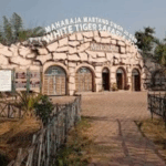 सीमा बदलने के प्रस्ताव से गरमाई विंध्य की राजनीति, मैहर की 6 पंचायतों को रीवा में मिलाने के प्रस्ताव पर नेताओं का संगठित विरोध तेज़; सांसद गणेश सिंह बोले—‘किसी कीमत पर गांव मैहर से बाहर नहीं जाएंगे’!