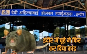 Read more about the article इंदौर एयरपोर्ट में चूहे ने यात्री को काटा, शिकायत के बाद मैनेजमेंट एक्शन में आया: मेडिकल रूम में तैनात डॉ. हर्षवर्धन सिंह को हटाया, पेस्ट कंट्रोल एजेंसी को जारी किया नोटिस!