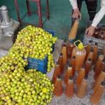 भोपाल में अनोखी पहल: दुर्गा प्रतिमाओं पर चढ़े नींबू से बनेगा बायो एंजाइम, तालाबों का पानी होगा शुद्ध; नवरात्रि में 2 टन से अधिक नींबू से 10 हजार लीटर बायो एंजाइम हुआ तैयार!