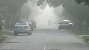 Read more about the article MP Weather Update: एमपी में अगले 4 दिन तेज सर्दी का दौर, कटनी सबसे ठंडा शहर, 8 जिलों में कोहरे का यलो अलर्ट