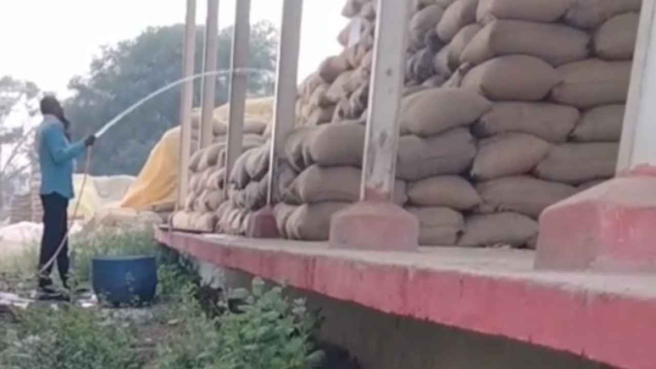 Raipur: आरंग धान खरीदी केंद्र में गड़बड़ी, वजन बढ़ाने धान को पानी से भिगोया, Video वायरल