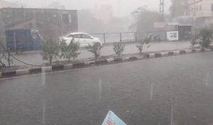 Read more about the article MP में फिर बदला मौसम: 4-5 दिन आंधी-बारिश का अलर्ट, भिंड-दतिया में ओलावृष्टि की संभावना