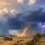 MP में फिर बदलेगा मौसम: 29 मार्च से आंधी-बारिश का अलर्ट, 40 जिलों में तेज हवा के साथ बरसात